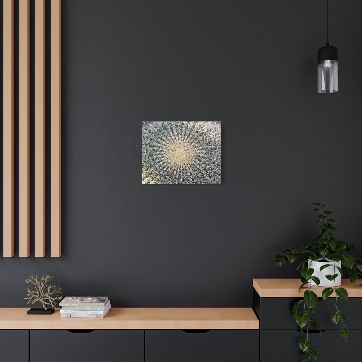 Barrel Cactus Close-Up Canvas | Stretched Matte Canvas