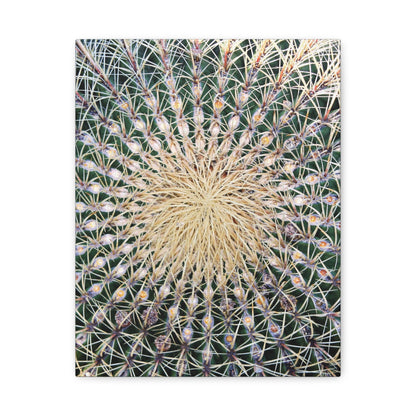 Barrel Cactus Close-Up Canvas | Stretched Matte Canvas