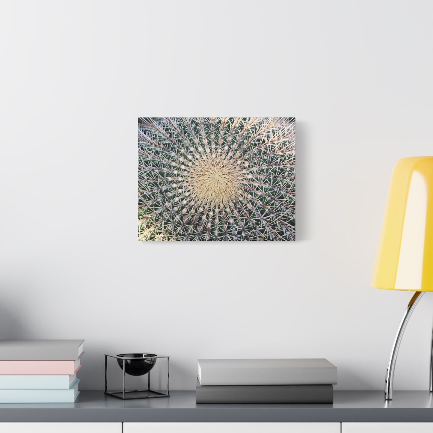 Barrel Cactus Close-Up Canvas | Stretched Matte Canvas