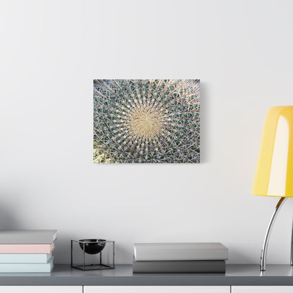 Barrel Cactus Close-Up Canvas | Stretched Matte Canvas