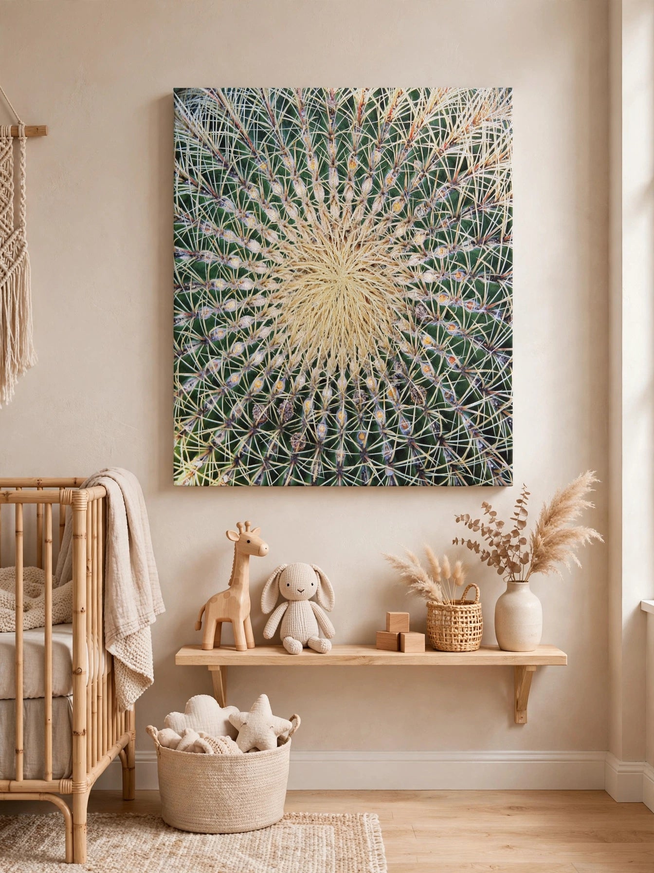 Barrel Cactus Close-Up Canvas | Stretched Matte Canvas