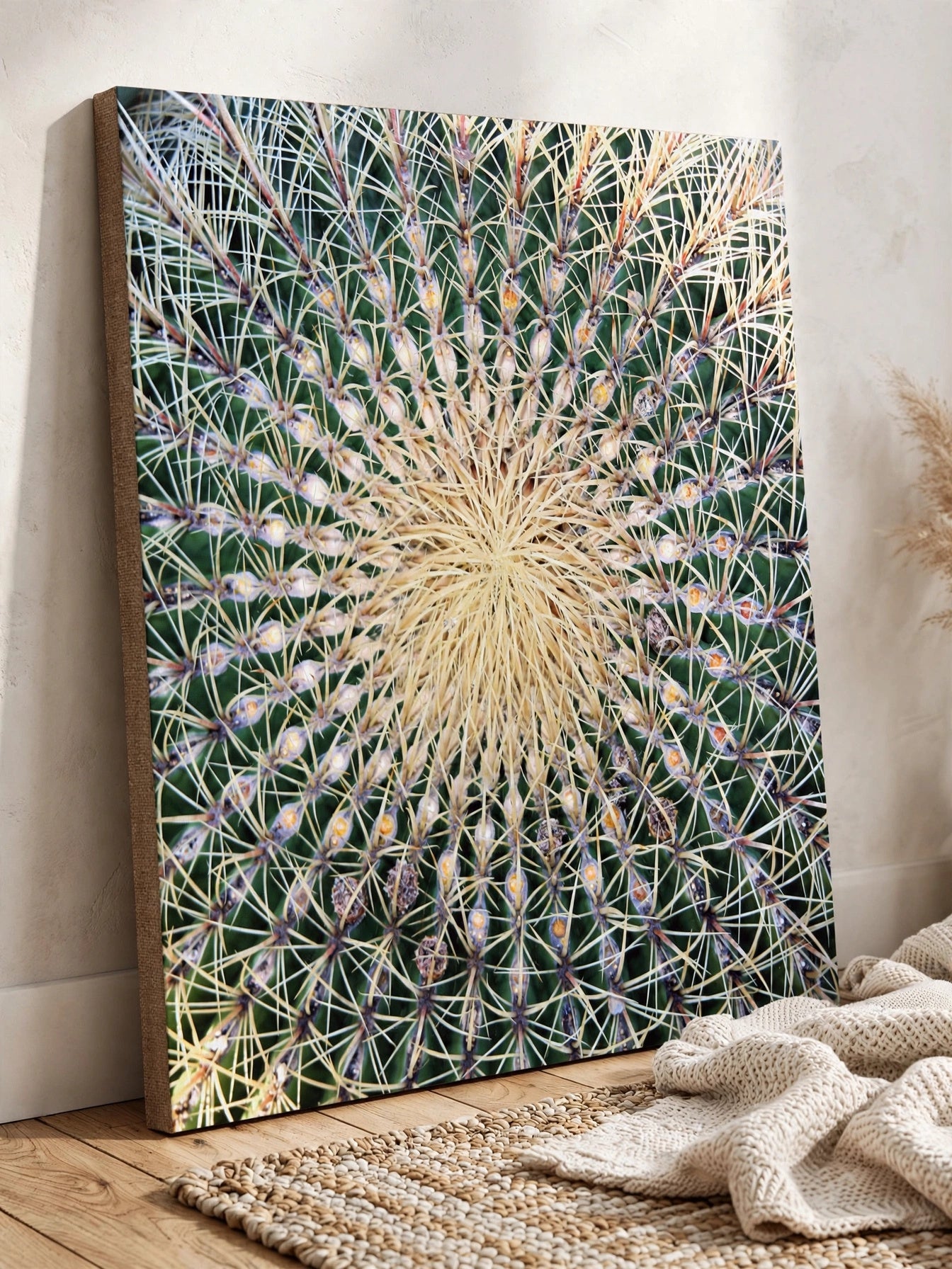 Barrel Cactus Close-Up Canvas | Stretched Matte Canvas