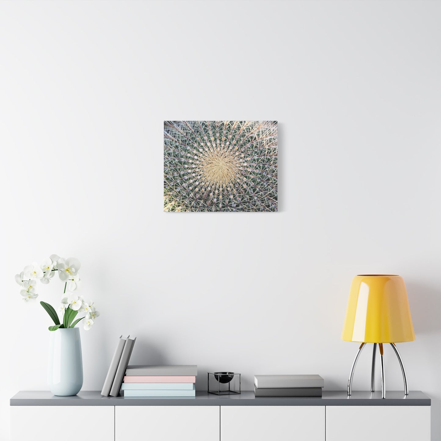 Barrel Cactus Close-Up Canvas | Stretched Matte Canvas