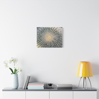 Barrel Cactus Close-Up Canvas | Stretched Matte Canvas