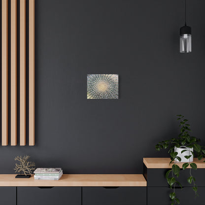 Barrel Cactus Close-Up Canvas | Stretched Matte Canvas